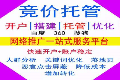 实战案例：SEM优化助力品牌知名度提升